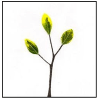 Eleventh Hour Literary featured on&nbsp;Sapling