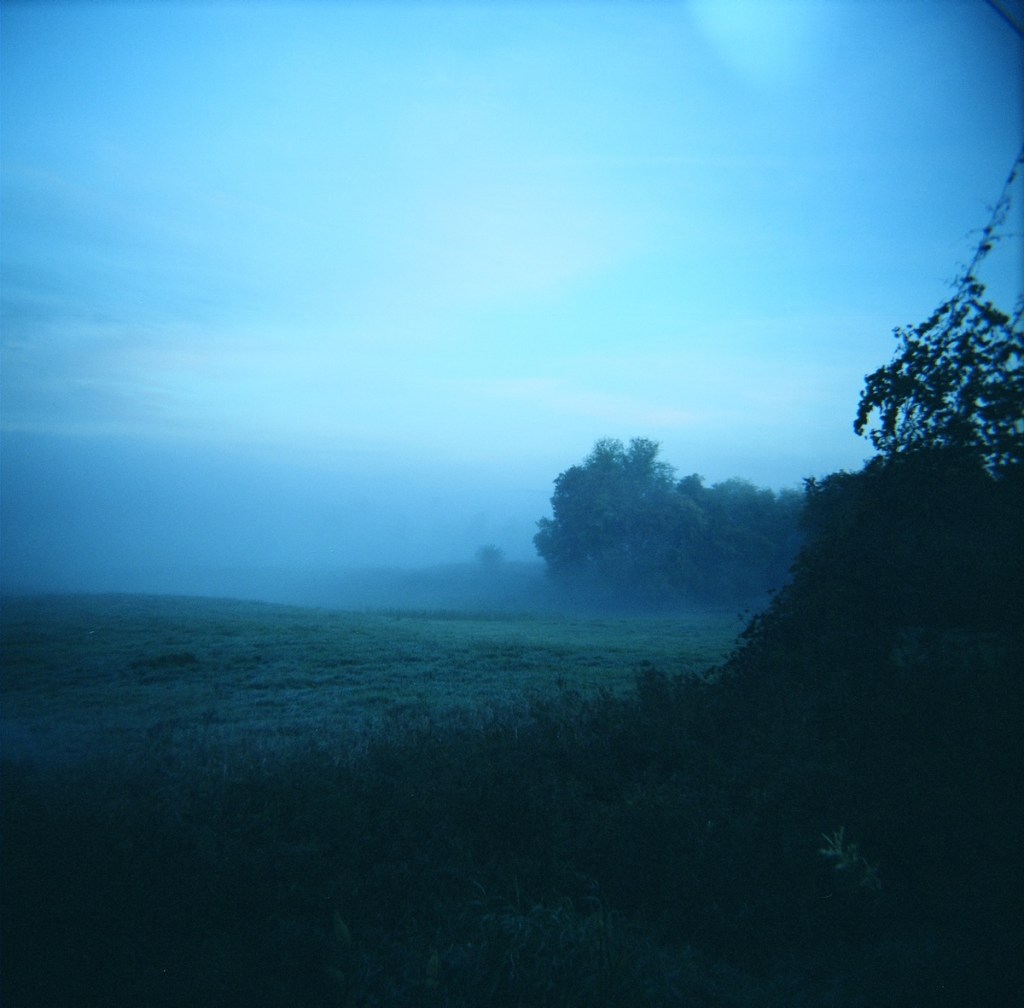 Misty morning in the countryside
