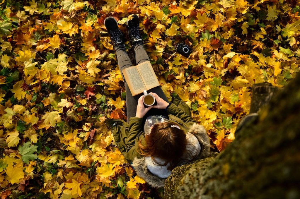 Overhead Shot of a Person Sitting under the Tree