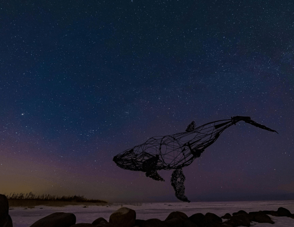 Wire Sculpture of Whale Above Snow at Starry Night