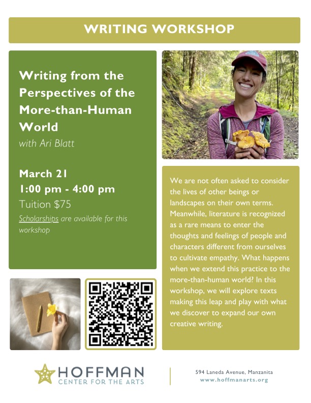 SPOTLIGHT: Ari Blatt